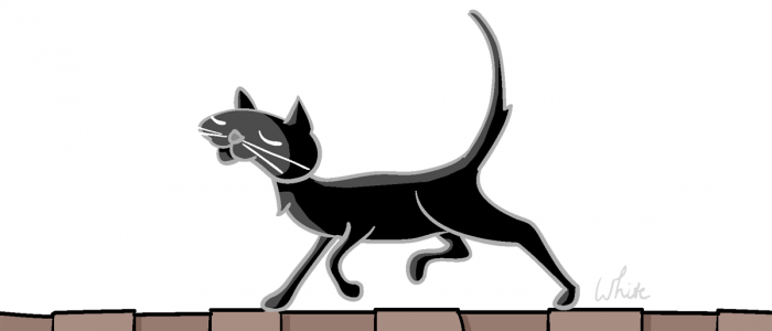 Black Cat