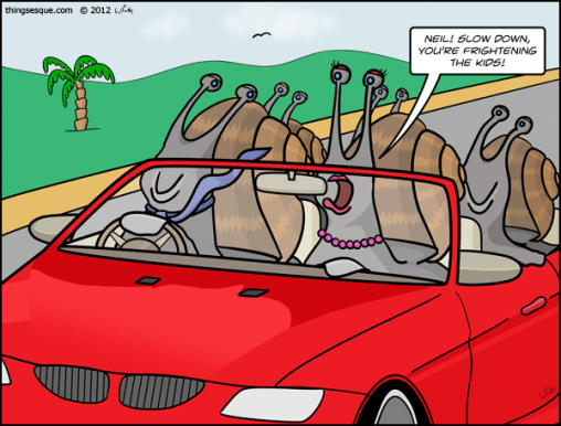 Shell Wishes