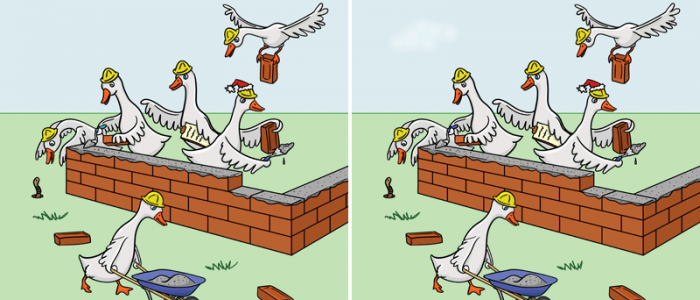 Geese Difference Spot