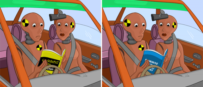 Dummies Difference Spot