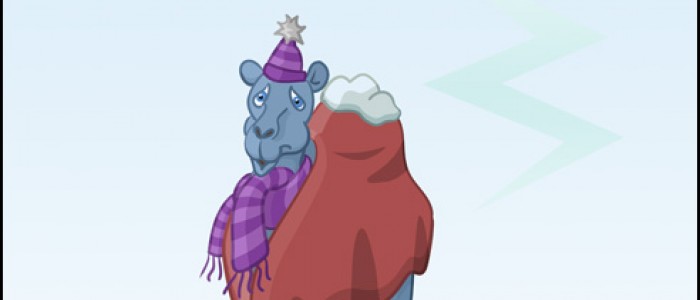 Animal Foreign Exchange Program (Part 2)