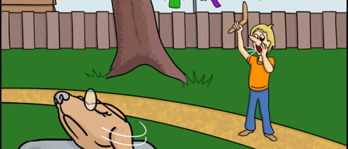 Just a Stick