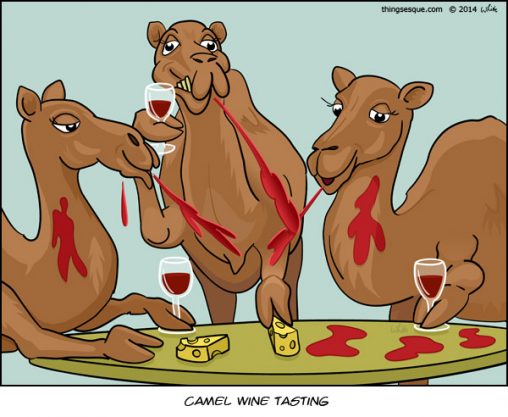 Camel Wine Tasting