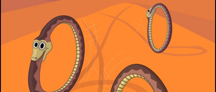 The Desert Roller Snake