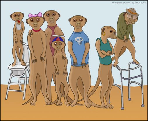 Meerkat Family Portrait