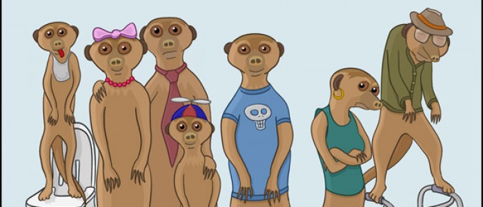 Meerkat Family Portrait