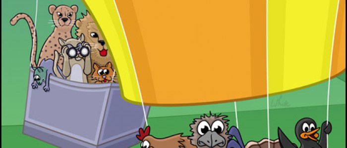 Balloon Cats