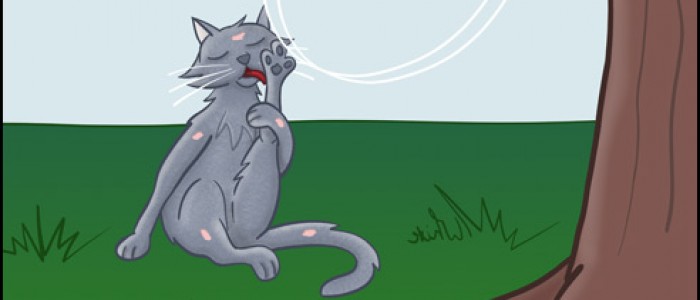 Cat Attack