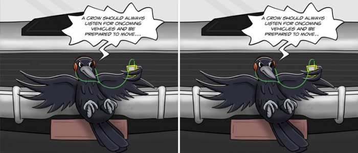 Crow Difference Spot