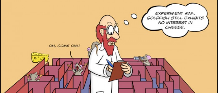 Rats in a Maze