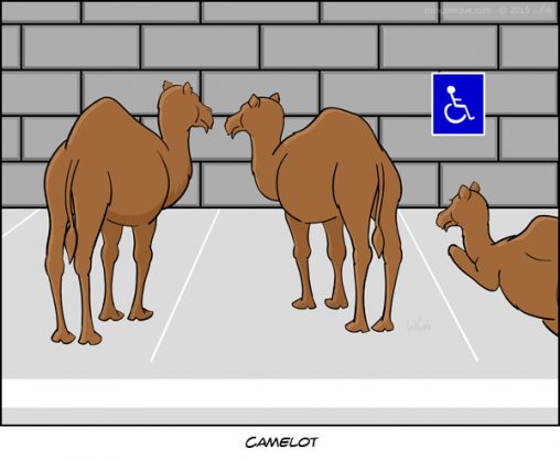 Camelot (camelid-parking)