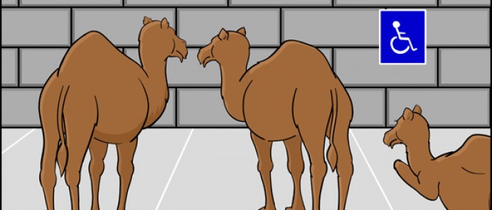 Camelot (camelid-parking)