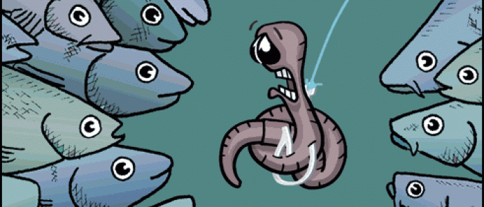 Fish Feeding Frenzy