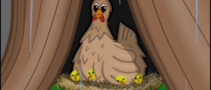 Poultry Piracy