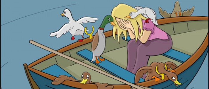 Ducks in a Rowboat