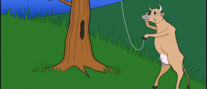 Kite-flying Cow