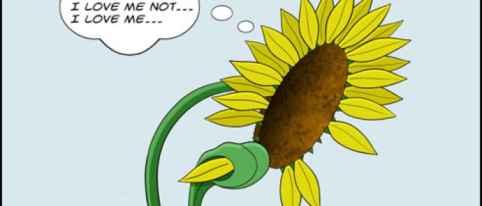 Sunflower in Bloom (and gloom)