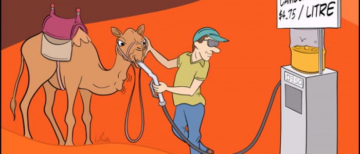 Camel Refuel - Camelmile