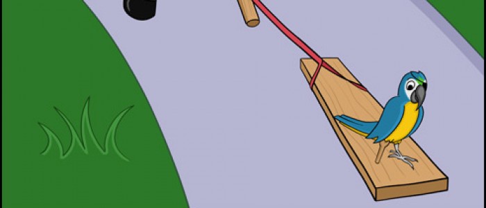 Walking the Plank
