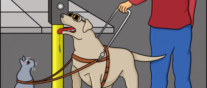Guide Dog Guide (A Visual Gag)