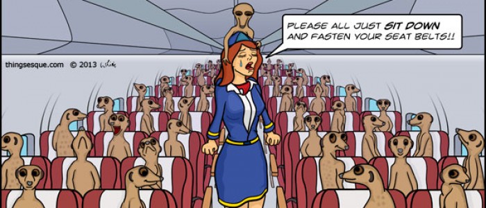 Meerkats on a Plane