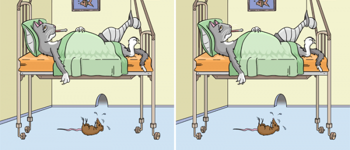 Gatto Difference Spot