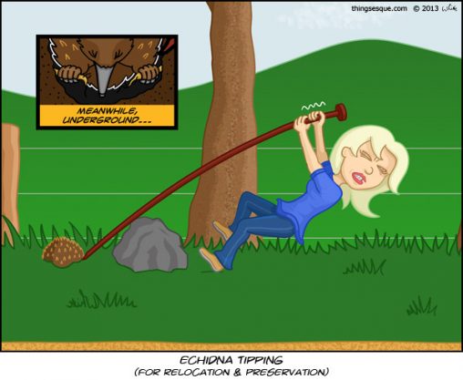 Echidna Tipping (for relocation)