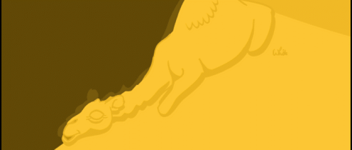 Camelflage