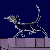 Black Cat