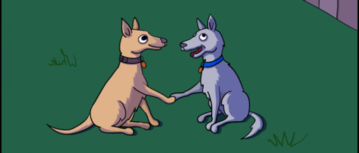 Dog Deals