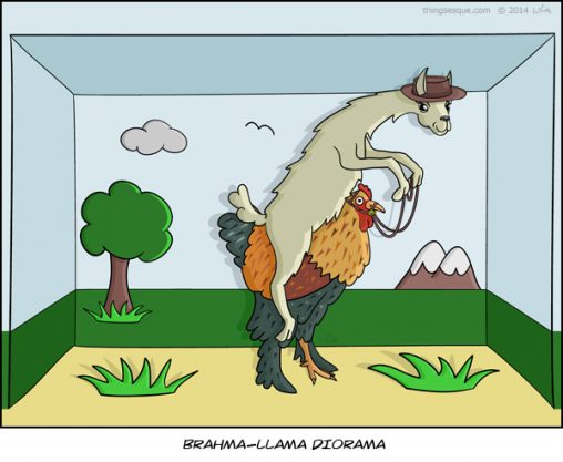 Brahma-Llama Diorama