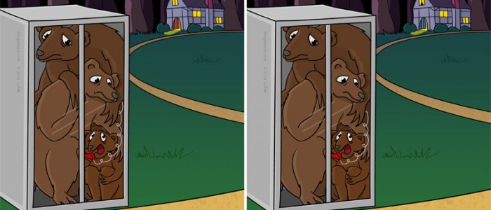 Three Bears Difference Spot