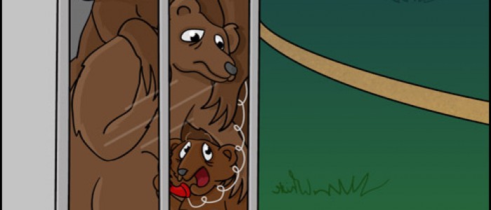 The Three Bears