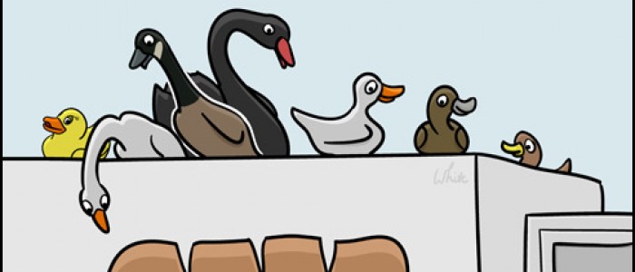 Ducks on Trucks (teals on wheels)