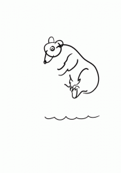 Polar Bear Production
