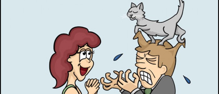 Cat Massage (kneady feline)
