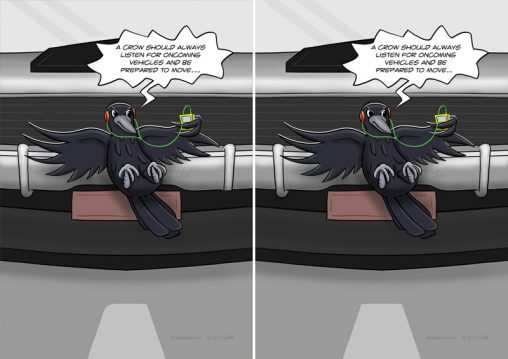 Crow Difference Spot