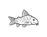 fish-09