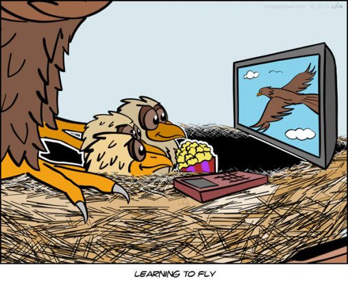 Learning to Fly