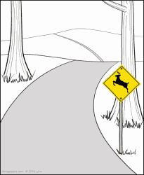 Deer Crossing