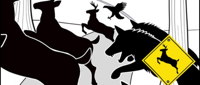 Deer in Fear