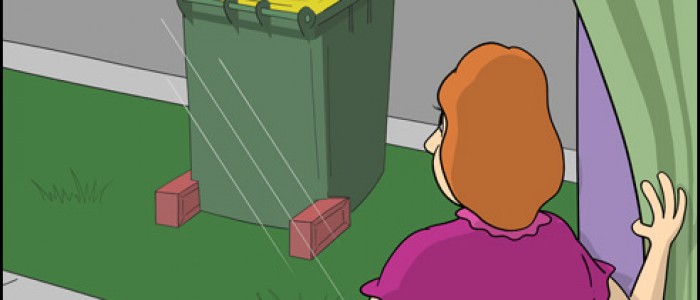 Wheelie Bin Trouble