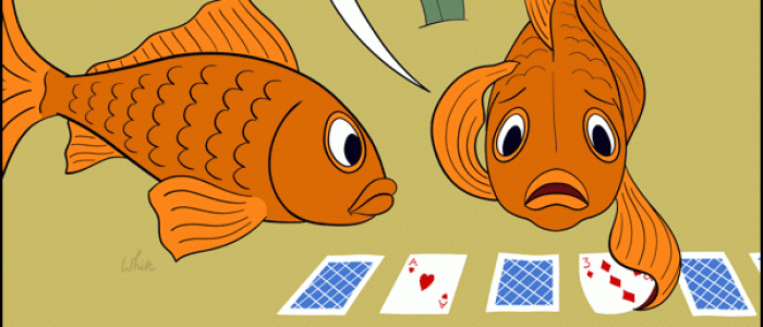 Goldfish Memory