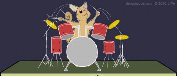 Percussion Possum
