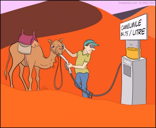 Camel Refuel - Camelmile