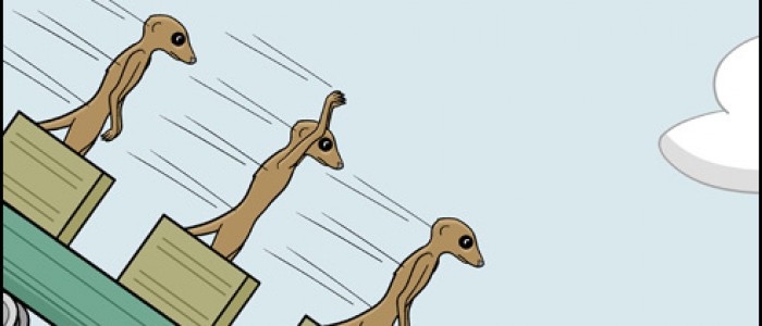 Meerkats on a Roller Coaster