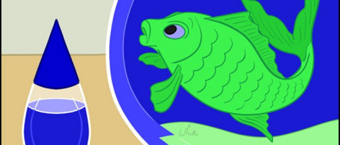 Fool's Goldfish