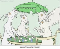 Goats Playing Poker