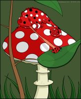 Ladybird Chameleon