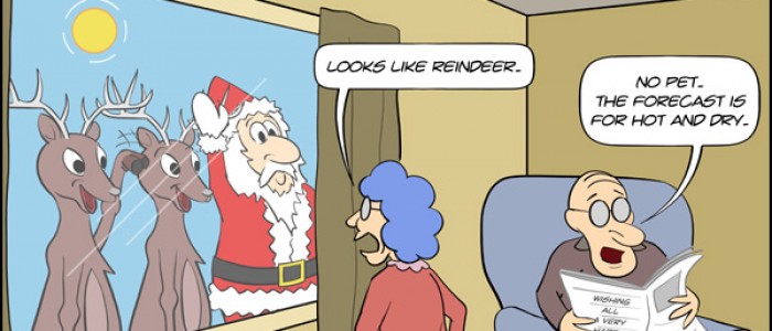 Looks Like Reindeer